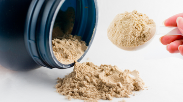 Whey vs Plant-Based Protein Powders: Which is Better?